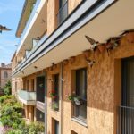 Toulouse : Rénovation d’Immeuble Pensée Pour Sauver Les Hirondelles
