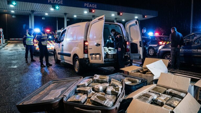 Trafiquant Débutant : 5 Ans de Prison pour 1,2 Tonne de Cannabis