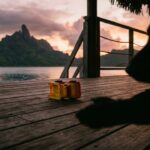 Tragédie à Tahiti : Enfant de Deux Ans Tué par un Chien