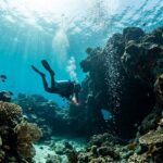 Tragédie aux Maldives : Cinq Touristes Italiens Meurent en Plongée