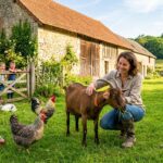 Une Nouvelle Vie : Animaux Sauvés dans une Ferme de l&rsquo;Oise