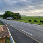 Veaux Tués sur l’A29 : PETA Réclame une Plaque Commémorative