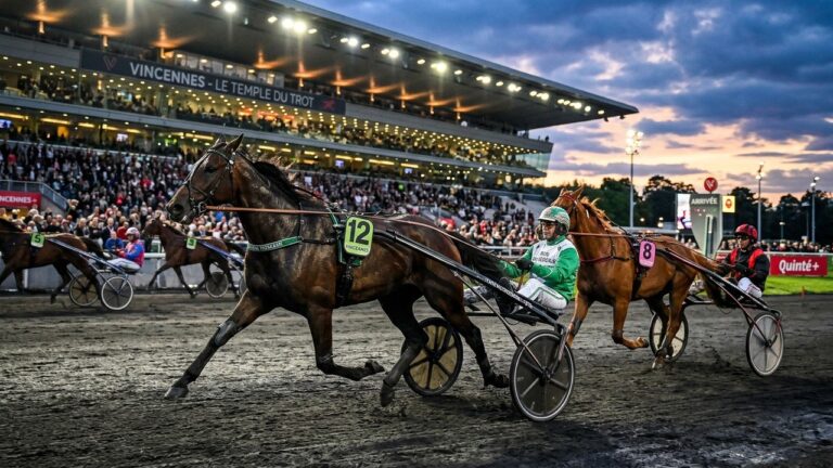 Victoire d&rsquo;Iris des Roseaux au Quinté de Vincennes : Un Triomphe Mérité