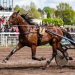Victoire Éclatante de Joyce Delto au Grand National du Trot