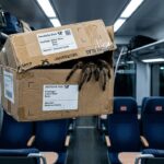Voyageuse Oublie 20 Mygales Dans Un Train En Allemagne