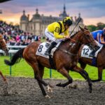 Zelzari Signe un Exploit Historique au Quinté de Chantilly