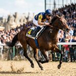 Zelzari Triomphe à Chantilly et Double la Mise dans le Quinté