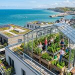 À Dieppe, Serres Sur Toits Pour Cultiver SesExpanding the article with detailed content Tomates