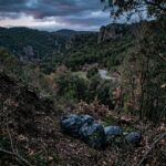 Affaire de la Boulangère de Cassagnes : Un Crime Horrible Secoue les Pyrénées-Orientales