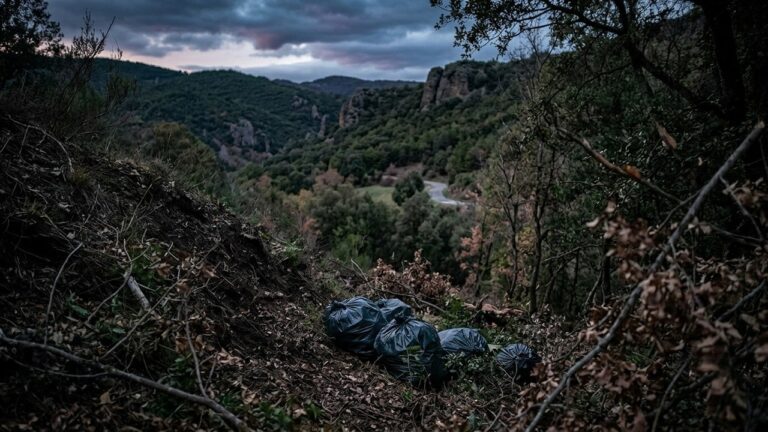 Affaire de la Boulangère de Cassagnes : Un Crime Horrible Secoue les Pyrénées-Orientales