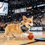 Air Corgi Prédit Victoire Spurs Wembanyama en Finale NBA