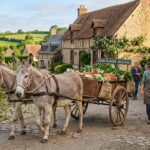 Alizay : Un Village Normand RecrCrafting the article title and metadataute Deux Ânesses Agents Techniques