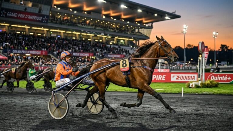 Arrivée Quinté Vincennes 5 Juin : Idole Jallerie S&rsquo;Impose avec Maîtrise