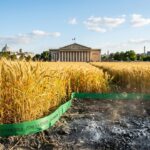 Assemblée Nationale Vote pourWriting the blog article Limiter le Cadmium dans les Engrais