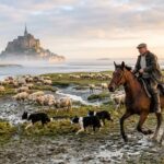 Berger à Cheval au Mont-Saint-Michel : Une Vie de Rêve en Baie