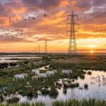 Camargue Menacée : Haute Tension sur une Ligne Électrique Controversée