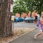 Chenilles Urticantes sur Parking : Fillette Victime dans les Yvelines