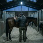 Coach Équitation Condamné : 10 Ans de Prison pour Viols sur Mineures