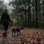 Condamnation dans l&rsquo;Affaire Elisa Pilarski : Quatre Ans Sursis et Euthanasie du Chien