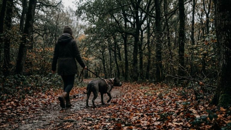 Condamnation dans l&rsquo;Affaire Elisa Pilarski : Quatre Ans Sursis et Euthanasie du Chien