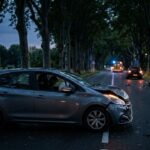 Condamné à 6 Mois de Prison pour un Accident Mortel par Somnolence au Volant