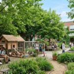 Cours Oasis Dans Les Collèges : Fraîcheur et Bien-Être À Pantin