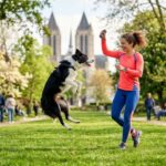 Dog Dancing à Noyon : Renforcez Votre Lien Avec Votre Chien