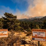 Feux de Forêt : Vigilance Orange dans l&rsquo;Aude et le Var