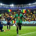 France Sénégal 2002 : Le Fiasco Des Bleus Vu Par Les Lions