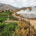 Glyphosate à la Frontière Libano-Israélienne : Tension et Saisine de l&rsquo;ONU