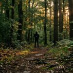 Homme Cagoulé et Armé dans le Bois de Vaires : Appel à la Vigilance
