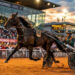 Ibiki De Houelle Triomphe Au Prix Chambon P À Vincennes