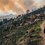 Incendies à l&rsquo;Estaque Marseille : Une Année Après, les Habitants Toujours en Alerte
