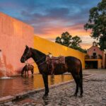 Luis Barragán : Architecte Mexicain et Passion des Chevaux