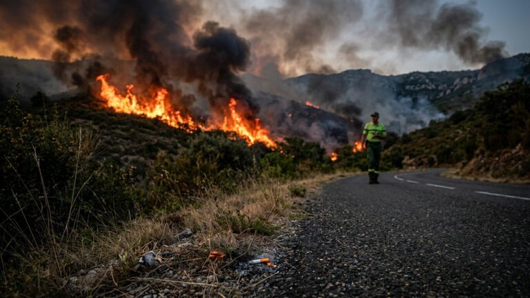 Mégot d&rsquo;un Agent de l&rsquo;ONF : L&rsquo;Incendie du Siècle dans l&rsquo;Aude ?