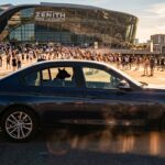 Nanterre : Fan Laisse Son Chien Dans Voiture en Plein Soleil Lors d&rsquo;un Concert