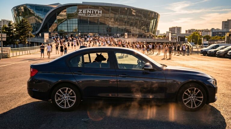 Nanterre : Fan Laisse Son Chien Dans Voiture en Plein Soleil Lors d&rsquo;un Concert