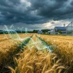 Nouveaux OGM Végétaux : Pourquoi Cette Révolution Agricole Fait Débat