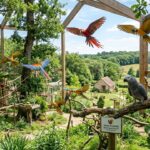 Parrot World Lance un Sanctuaire XXL pour Perroquets Abandonnés en Seine-et-Marne