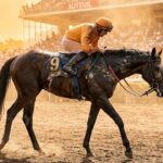 Quinté À Auteuil : Chevaux En Danger Lors De La Canicule ?
