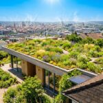 Toitures Végétalisées : Solutions Naturelles Efficaces Contre la Canicule