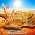Vague de Chaleur Record en France : La Moitié du Pays Touchée