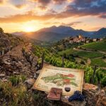 Vignoble Pyrénées-Orientales : Feuille de Route pour Sauver la Viticulture