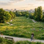 Villetaneuse : Butte Pinson Devient une Véritable Oasis Verte