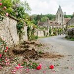 Vol de Rosiers à Ermenonville : Mystère dans un Village de l’Oise