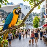 Yoko, le Perroquet qui Apporte Joie et Bonheur à Lyon